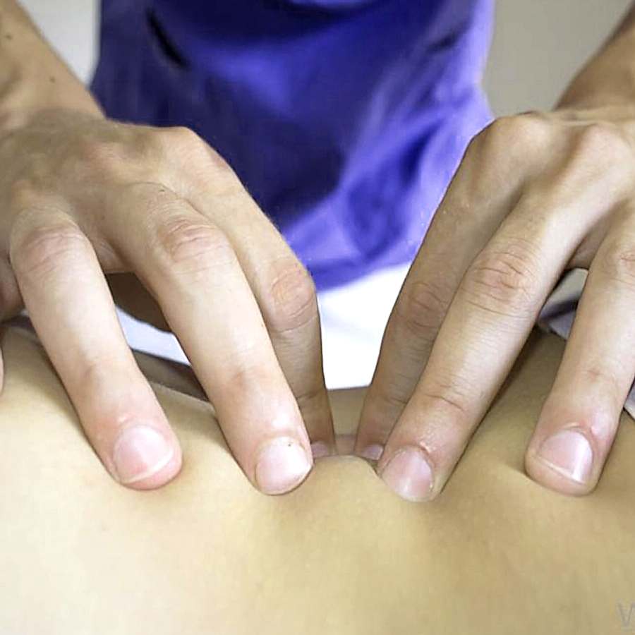 SHIATSU MASAJ KURSU